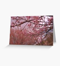 peach blossoms Greeting Card