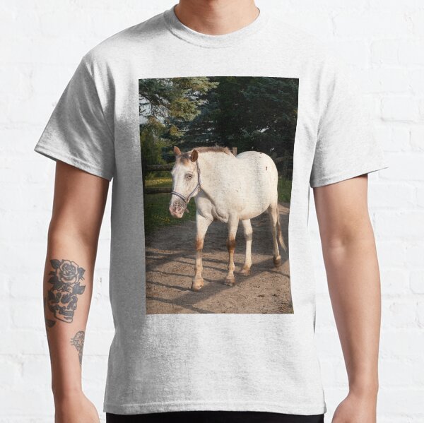Kilty - NNEP Ottawa ON Classic T-Shirt