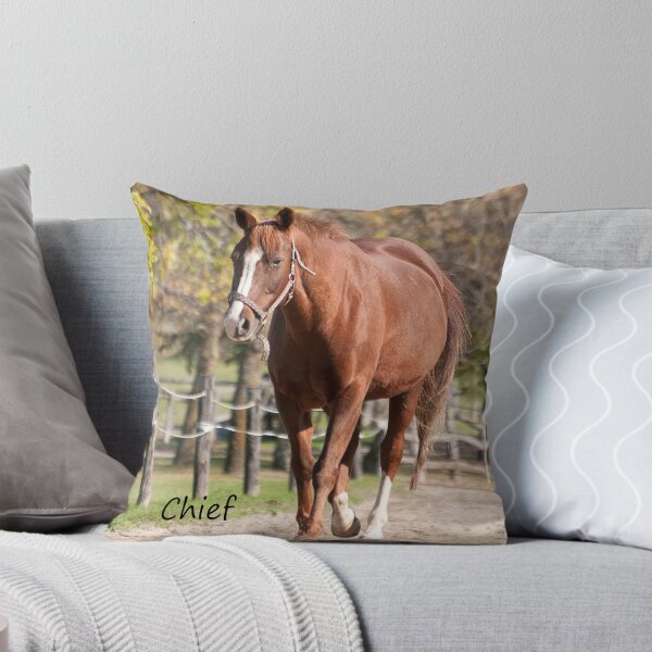 Item preview, Chief - NNEP Ottawa, ON designed and sold by Tracey Dryka.