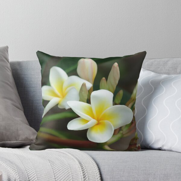 Item preview, franjipani - from bud to bloom designed and sold by Trish Hart.
