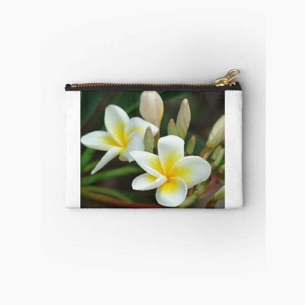 Item preview, franjipani - from bud to bloom designed and sold by Trish Hart.
