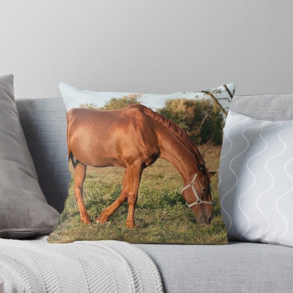 Item preview, Chico - NNEP Ottawa, ON designed and sold by Tracey  Dryka.