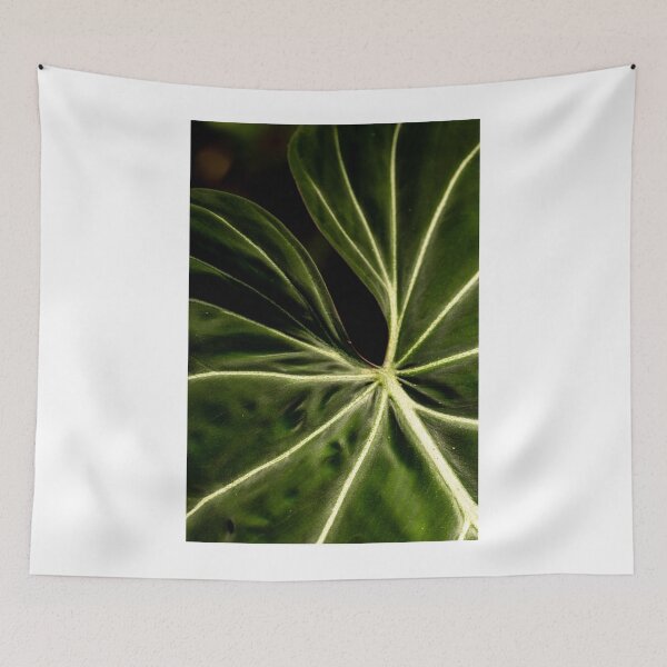 Item preview, leaf  designed and sold by lyndsaymphoto.