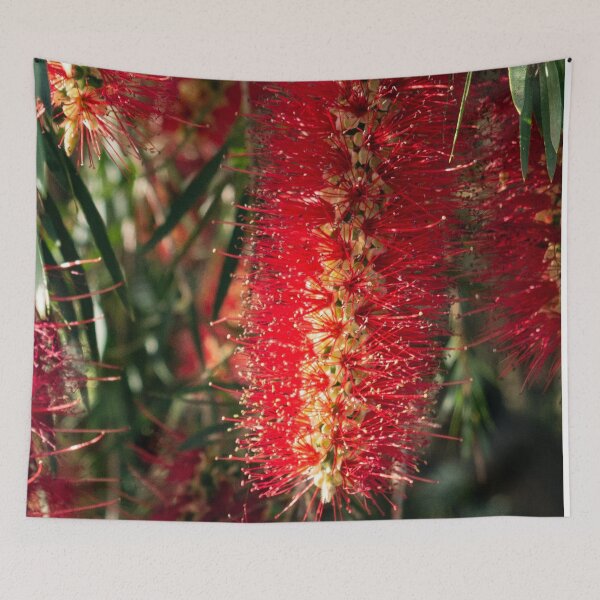 Item preview, Australian Bottlebrush designed and sold by DreamGalleon.