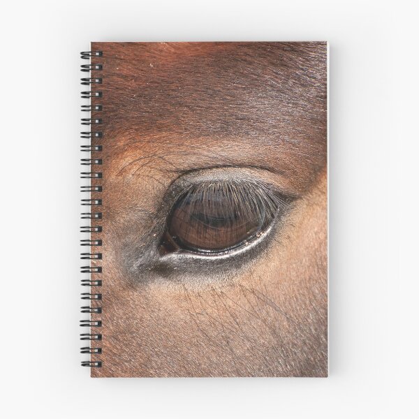 Item preview, The Eyes say it All (Pam) - NNEP Ottawa, ON designed and sold by Tracey  Dryka.