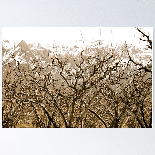 Item preview, Dormant Orchards designed and sold by Carl LaCasse.