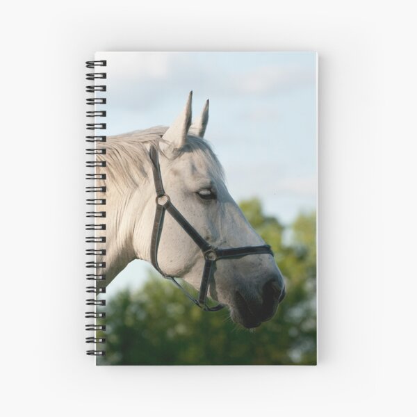 Item preview, Mercedes - NNEP Ottaw, ON 7 designed and sold by Tracey  Dryka.