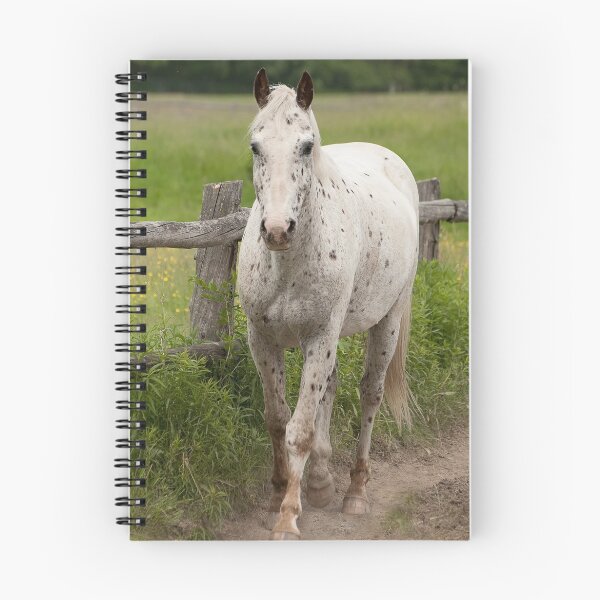 Item preview, Xerox - NNEP Ottawa, ON designed and sold by Tracey  Dryka.