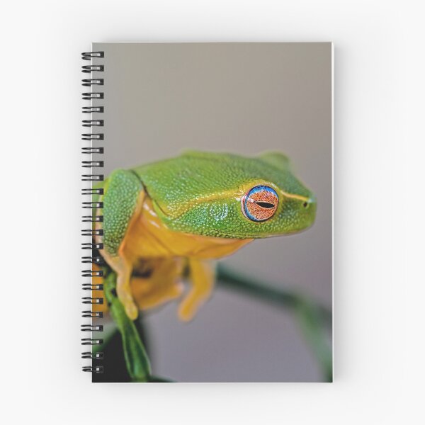 Item preview, The dainty green tree frog  designed and sold by Normf.