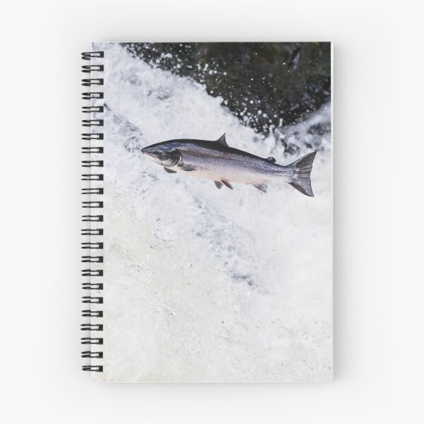 Item preview, Copy of Leaping wild atlantic salmon designed and sold by chanonry.