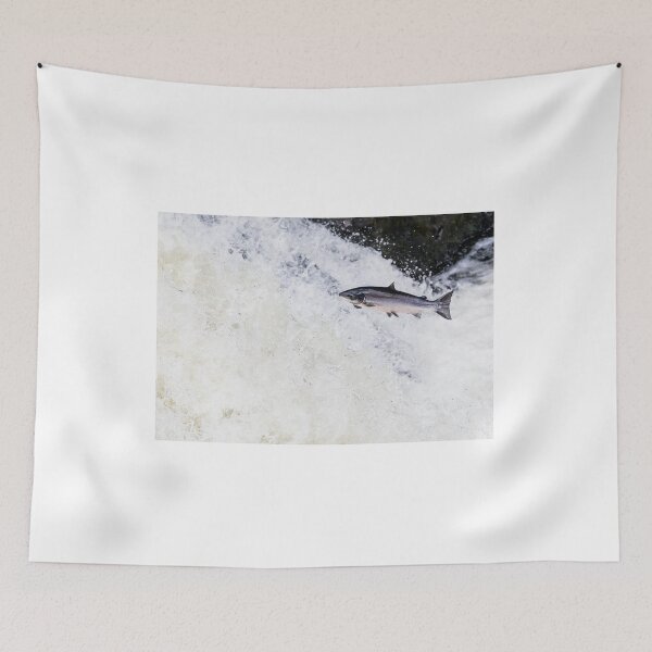 Item preview, Copy of Leaping wild atlantic salmon designed and sold by chanonry.