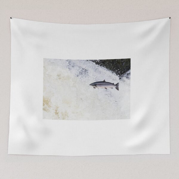Item preview, Copy of Leaping wild atlantic salmon designed and sold by chanonry.