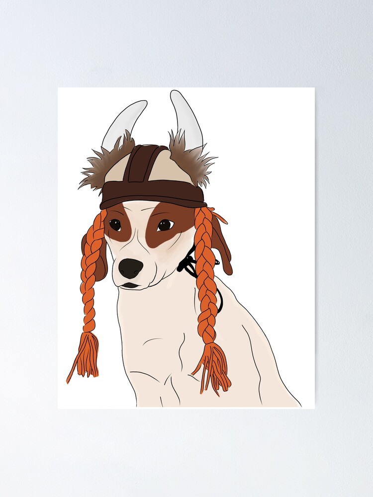 dog viking hat