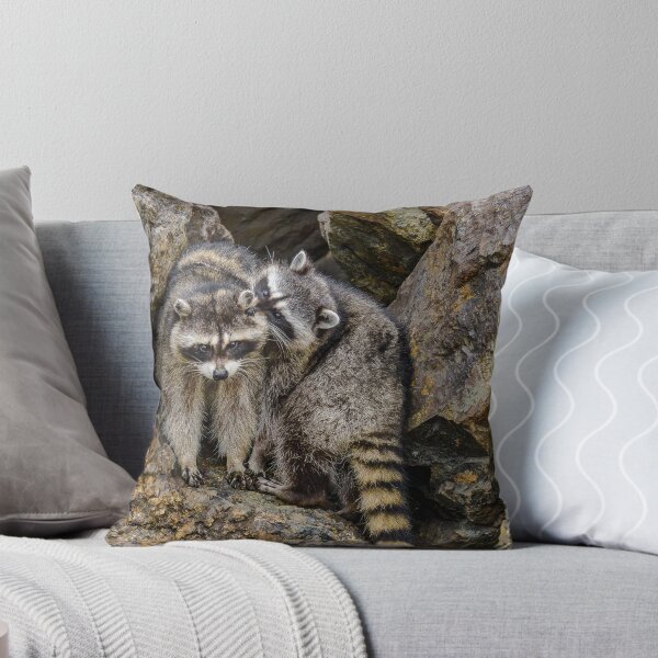 Item preview, Raccon Cuteness designed and sold by pixrit.