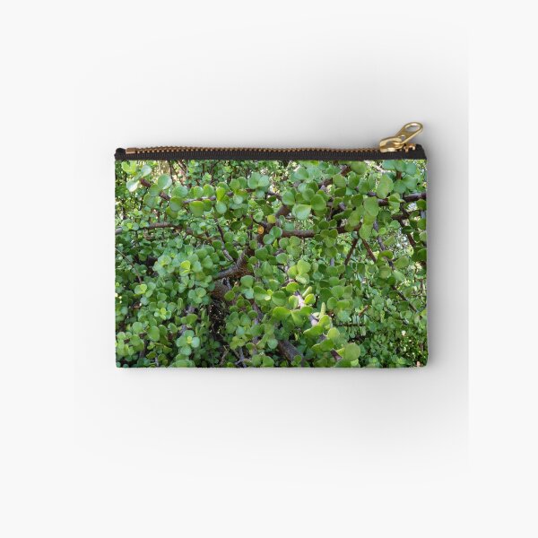 Item preview, Money Tree or Jade Plant designed and sold by DreamGalleon.