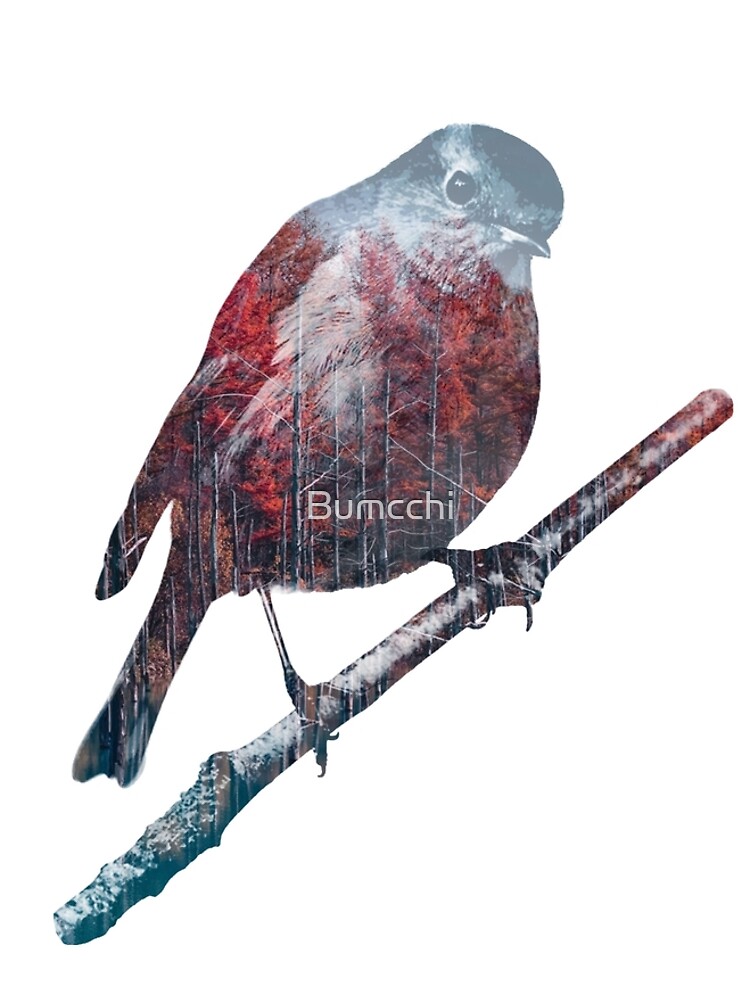 Forest Robin on a Branch by Bumcchi