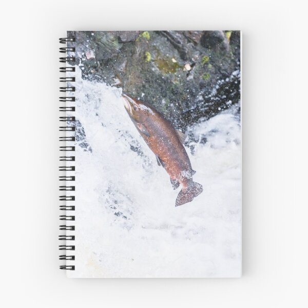 Item preview, Copy of Leaping wild atlantic salmon designed and sold by chanonry.