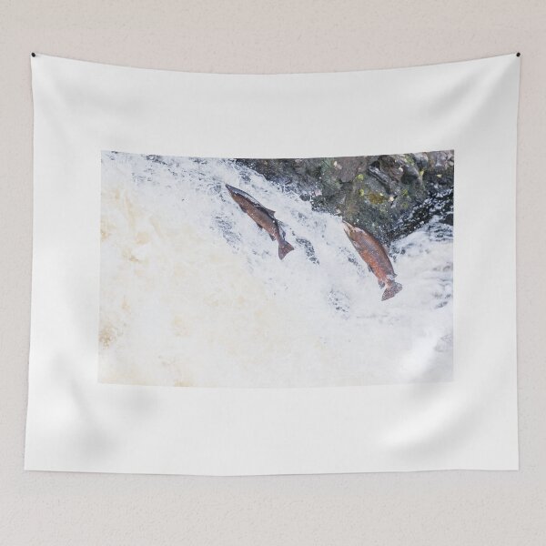Item preview, Copy of Leaping wild atlantic salmon designed and sold by chanonry.