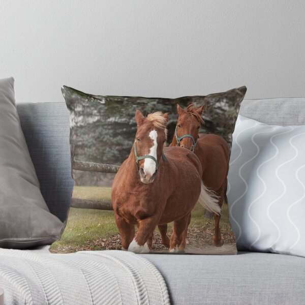 Item preview, Cameron and Harry  - NNEP Ottawa, ON designed and sold by Tracey  Dryka.