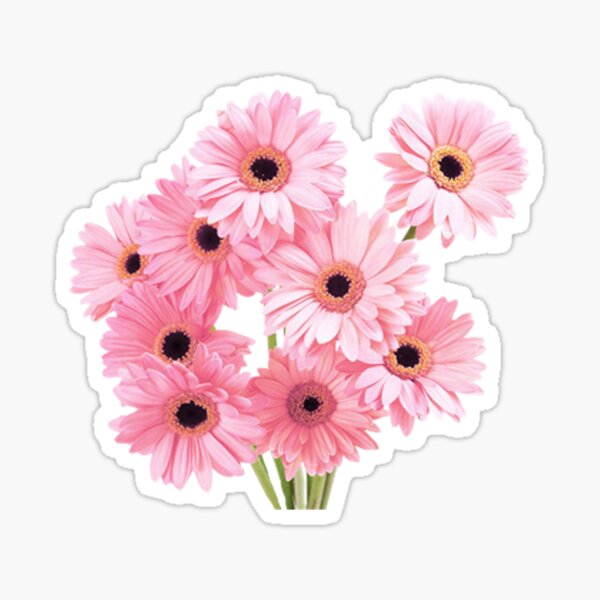 Sticker Tumblr Pink Flower Redbubble