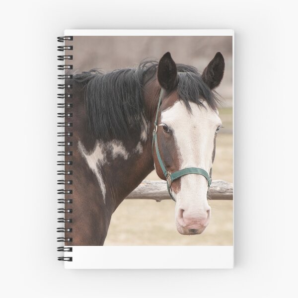 Item preview, Brooklyn - NNEP Ottawa, On  retired designed and sold by Tracey  Dryka.