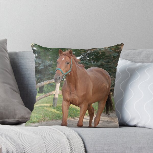 Item preview, Nelson - NNEP Ottawa, ON designed and sold by Tracey  Dryka.