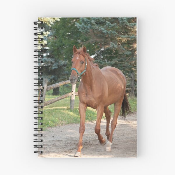 Item preview, Nelson - NNEP Ottawa, ON designed and sold by Tracey  Dryka.