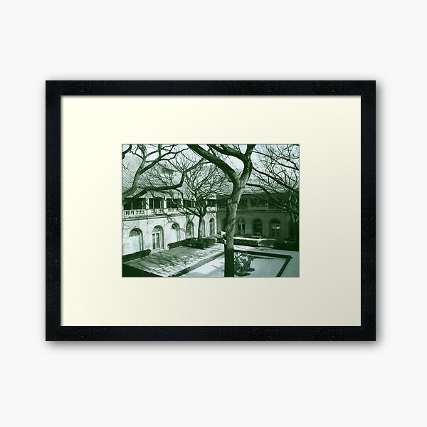 Chicago Art Institute Courtyard Framed Art Print