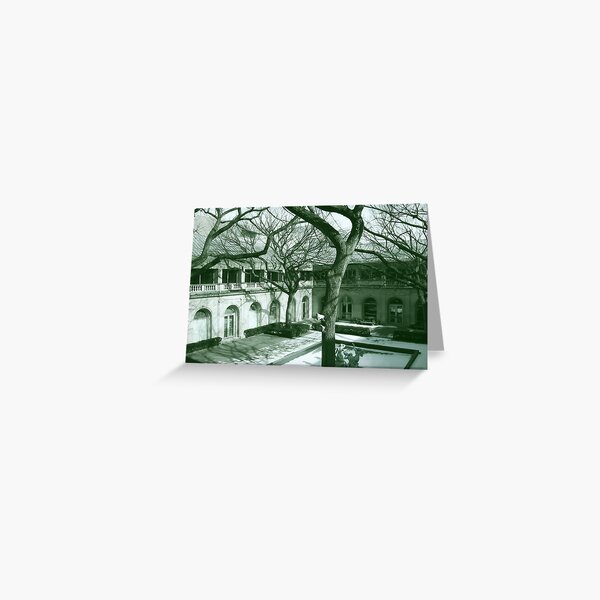 Chicago Art Institute Courtyard Greeting Card