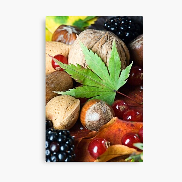 Still Life Canvas Print
