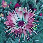 «Una hermosa flor en el jardín del edén.» de Victor Durden