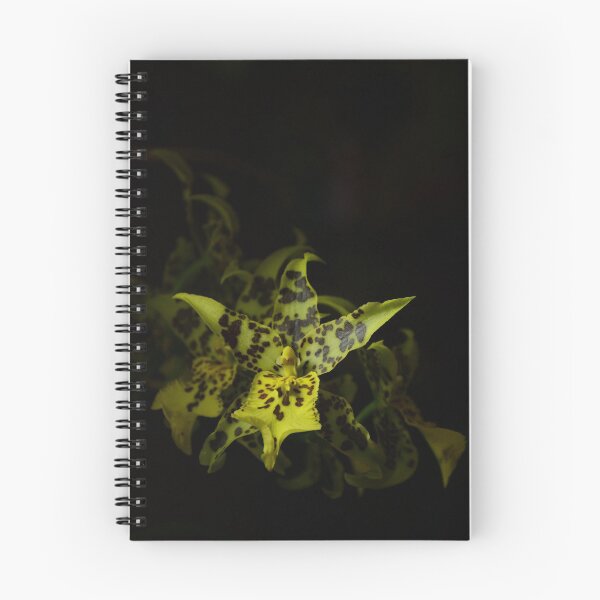 Item preview, SPOTTED ORCHID designed and sold by kazaroodie.