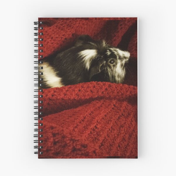 Item preview, Oreo the guinea pig designed and sold by shannannigans83.