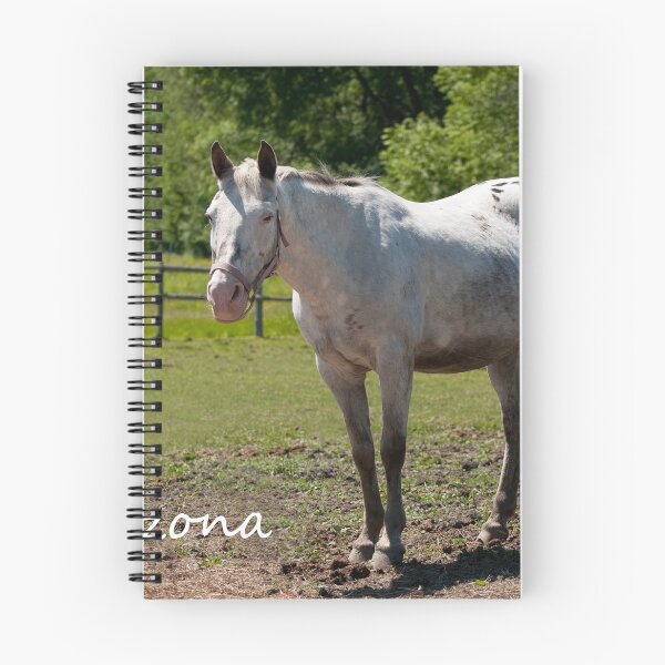 Item preview, Arizona - NNEP Ottawa, Ontario designed and sold by Tracey  Dryka.
