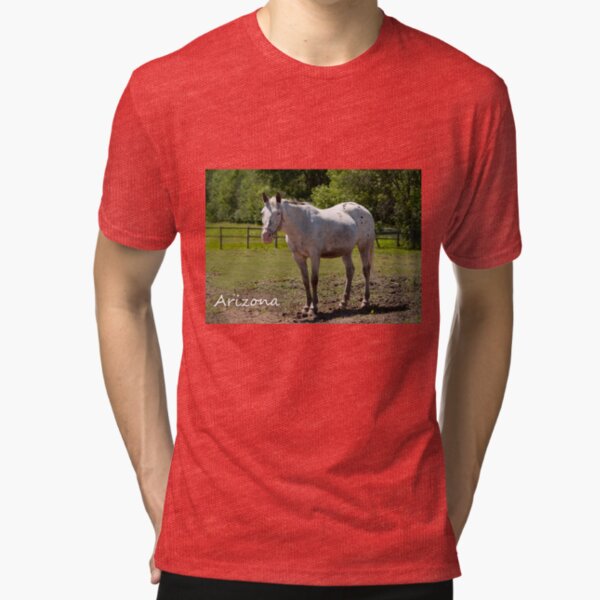 Arizona - NNEP Ottawa, Ontario Tri-blend T-Shirt