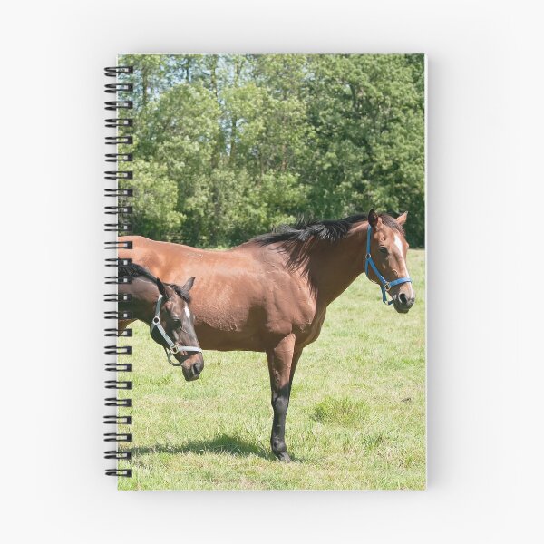 Item preview, Buddies -Joy and Regal  NNEP Ottawa, On designed and sold by Tracey  Dryka.
