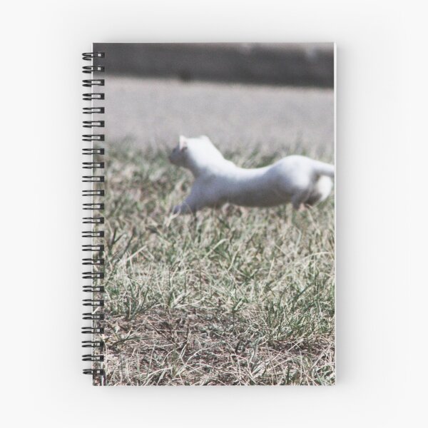 Item preview, Long-tailed Weasel designed and sold by Alyce Taylor.