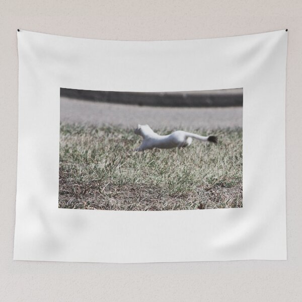Item preview, Long-tailed Weasel designed and sold by Alyce Taylor.