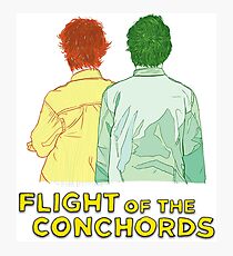 Lámina fotográfica vuelo de los conchords