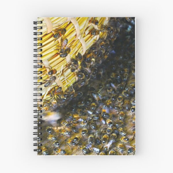 Item preview, ¡Abejas! designed and sold by CreativeLore.