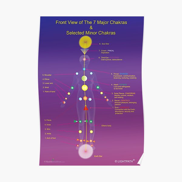 Major and Minor Chakras Poster