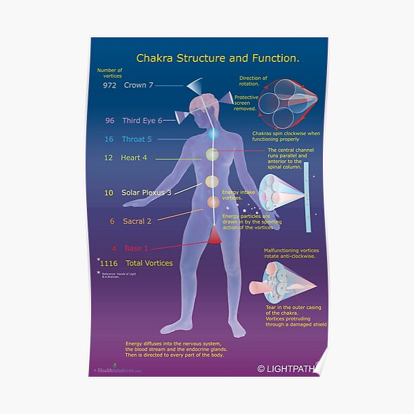 Chakra Structure and Function Poster