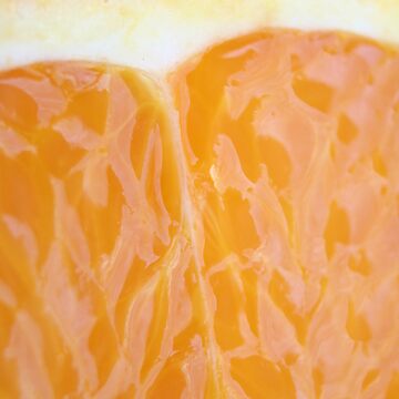 Artwork thumbnail, Zesty by Mandy Kerr