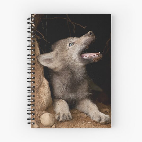Item preview, Who's There designed and sold by Tracey  Dryka.