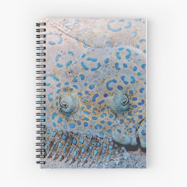 Item preview, Flounder designed and sold by Amy McDaniel.