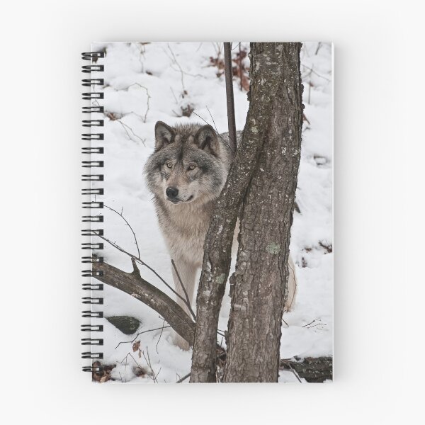 Item preview, Security Officer designed and sold by Tracey  Dryka.