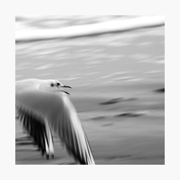 Scream Photographic Print