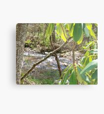 Vegetation Metal Print