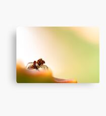 Evolution.. Canvas Print