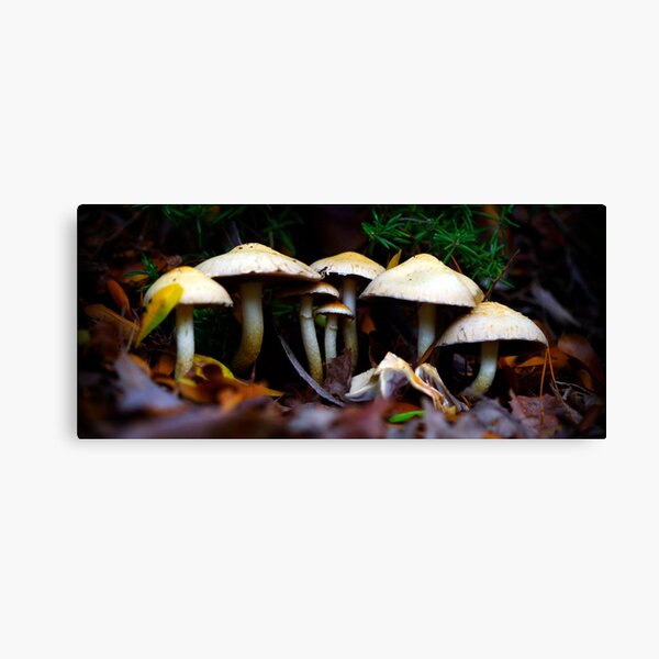 It takes a village Canvas Print